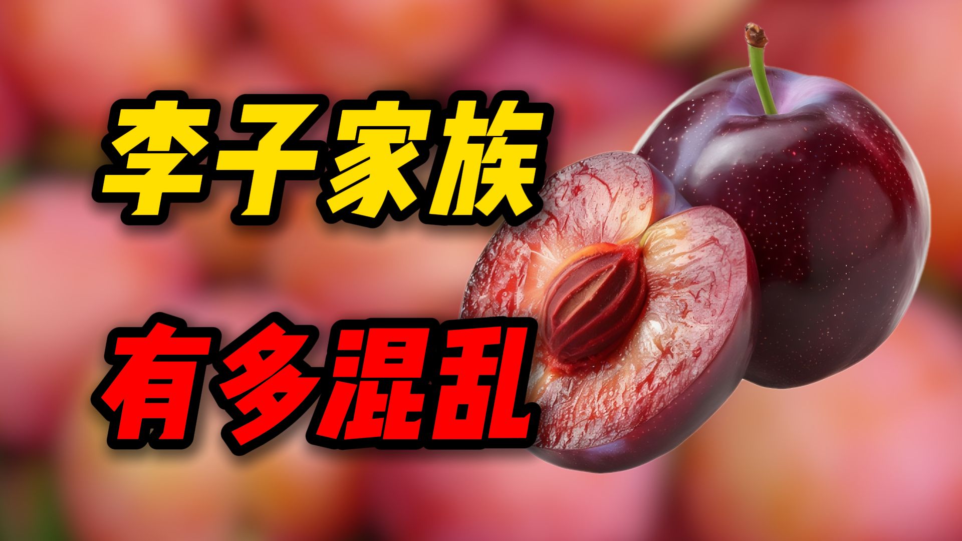 李子：拥抱光荣的进化吧！
