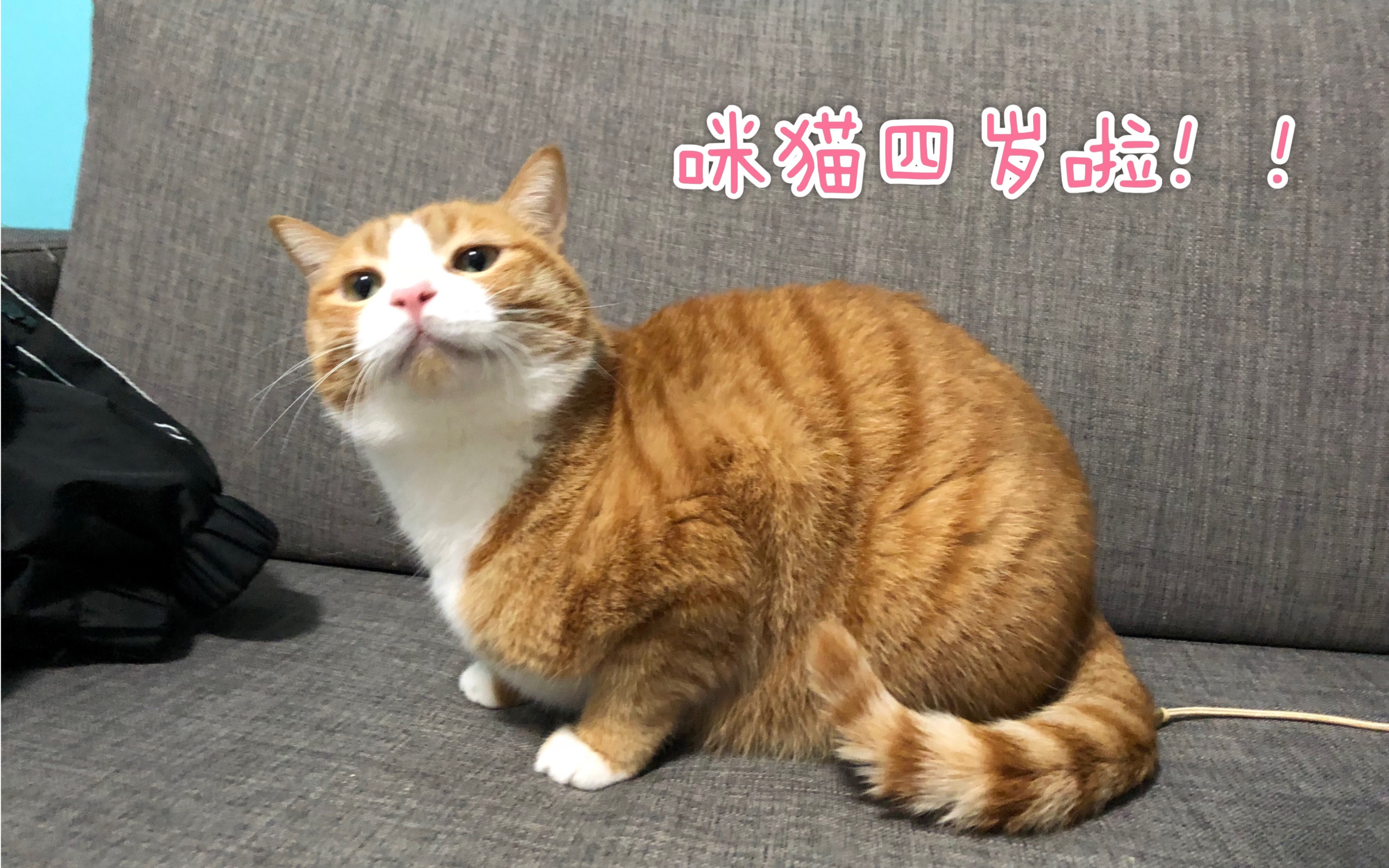 阿咪生日快乐我的可爱宝贝咪09˙66˙79