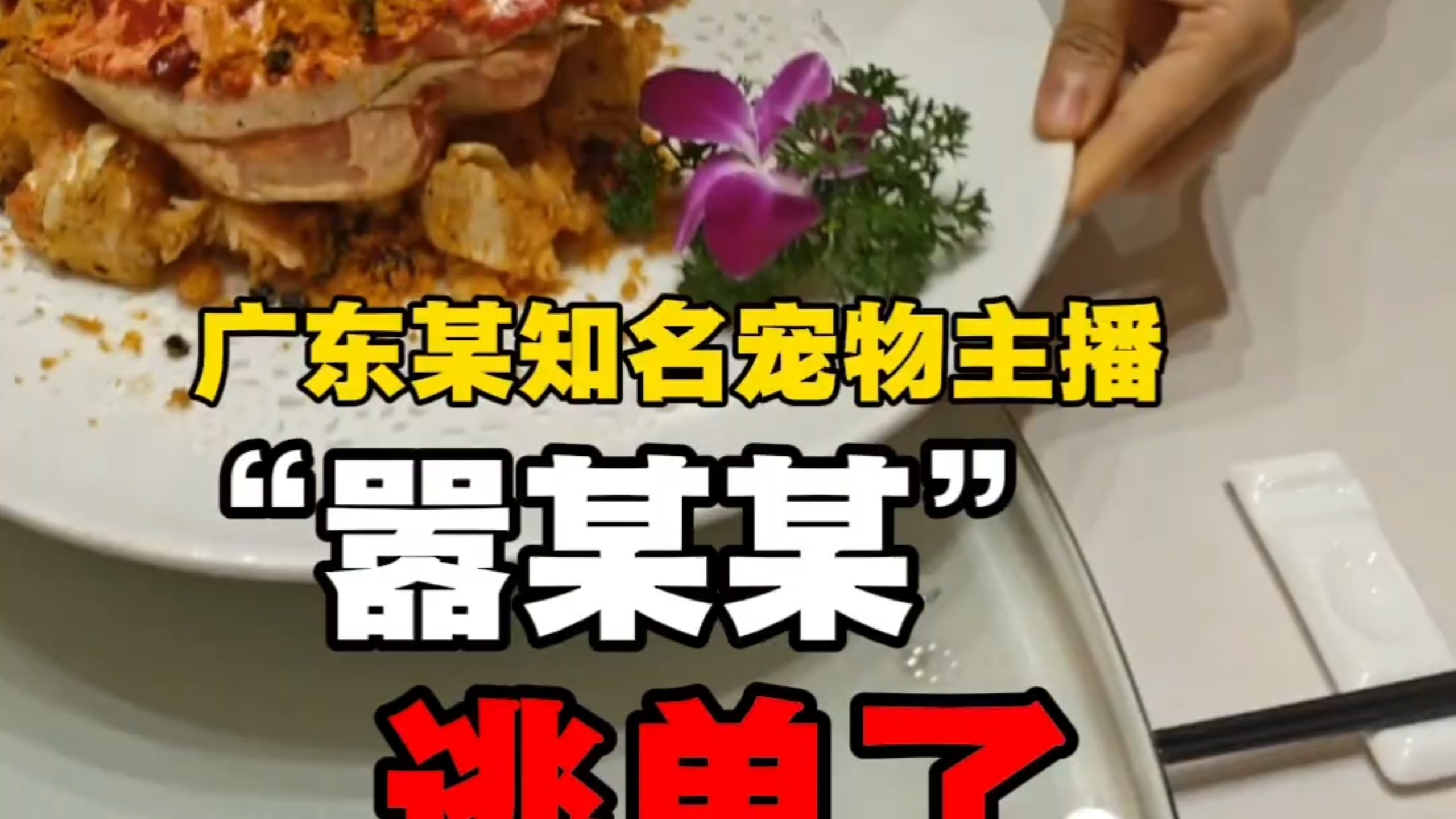 广东知名宠物主播“嚣某士”逃单了