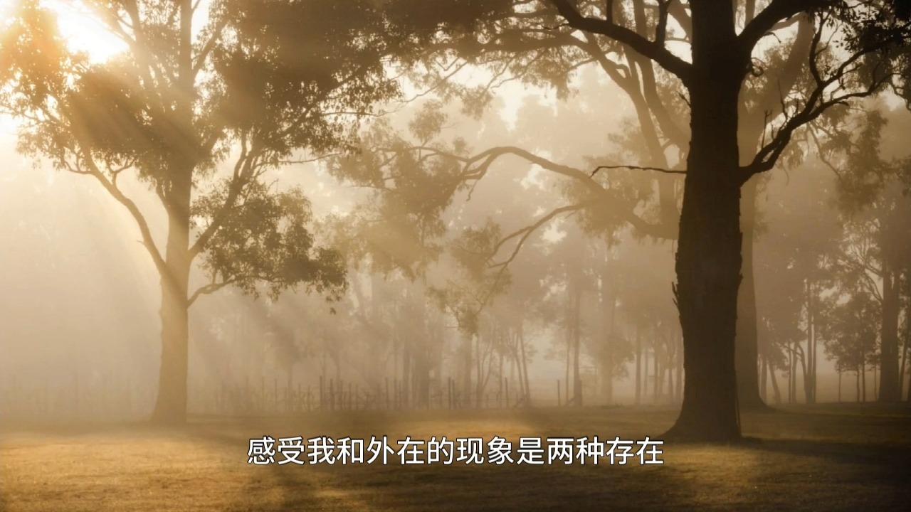 密不外传的实修感悟：止观必须经历的三个阶段！从专注一念到明心见性！