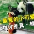 史上最冤小可爱，和大熊猫没有血缘关系，小熊猫才是真熊猫！