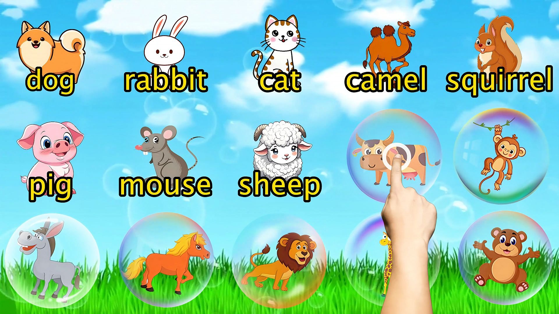 戳泡泡学单词，宝宝学英语，常见25种动物的英语单词