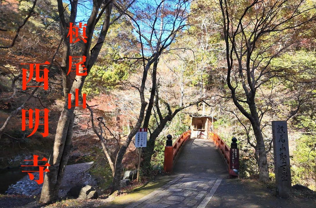 京都：槙尾山 西明寺