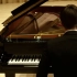 L'accordeur-The Piano Tuner