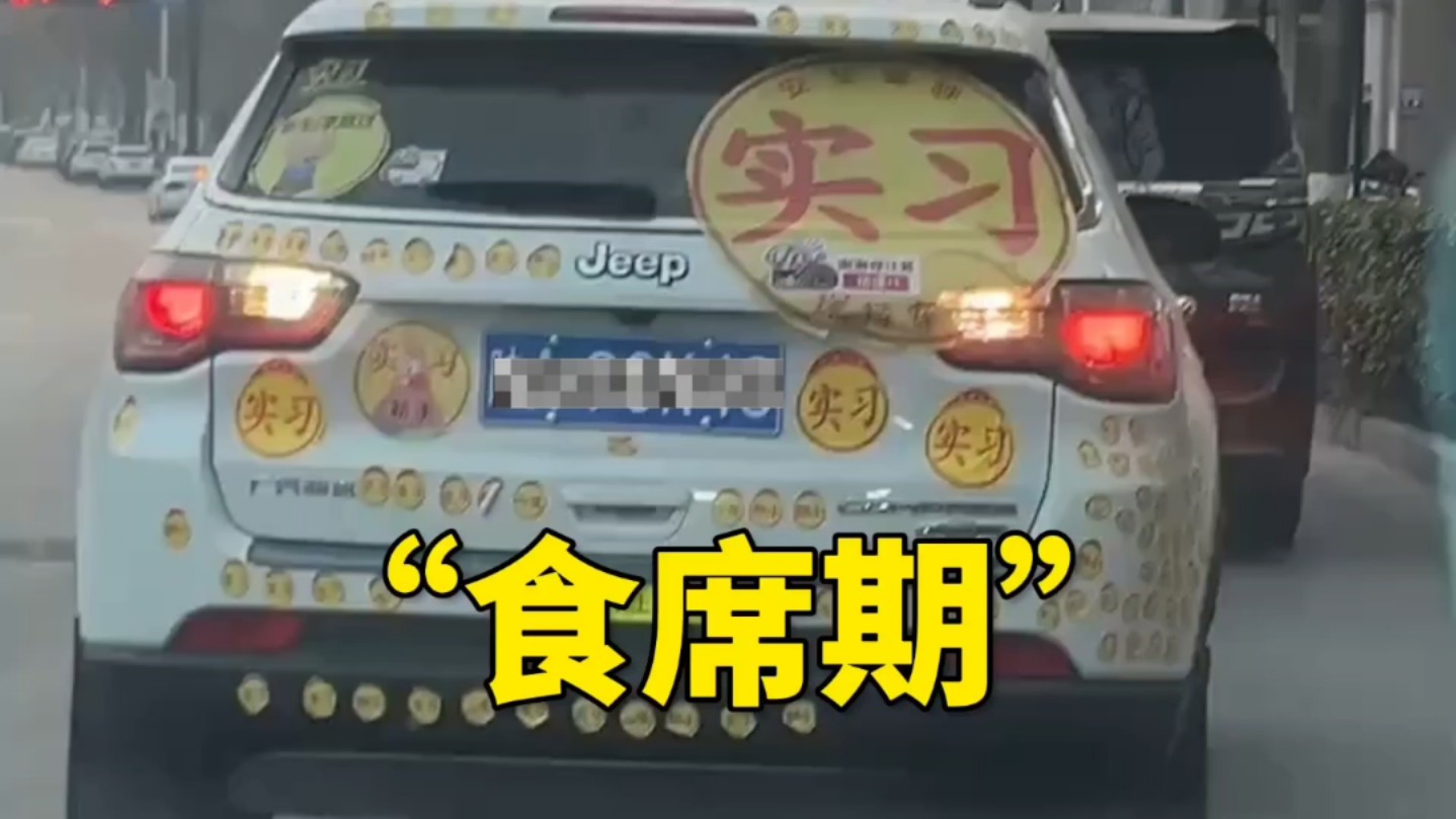 您的起步速度击败了全国0.01%的车主!-没脸鉴车-没脸鉴车-哔哩哔哩视频