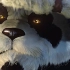 【魔兽/4K/竖屏】熊猫人 永不为奴、除非-包吃包住 微信8.0