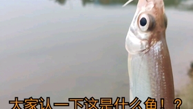46fe942128681dcbfda2f9d982f00b29b0fc3a51.jpg@280w_158h_1c_100q.jpg