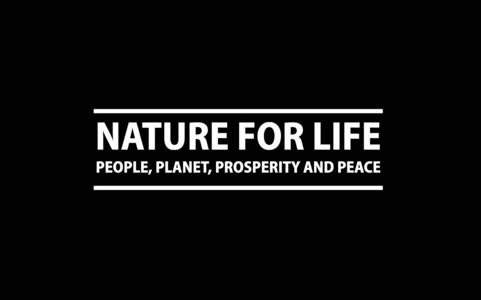 联合国开发计划署宣传片: Nature for LifePeople, Planet, Prosperity, and Peace哔哩哔哩bilibili