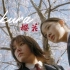 日本知名音乐组合「生物股长」成名曲《sakura》花开一度，灿烂一生。