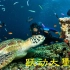 跃动大堡礁[完整版] 第一集.Life.on.the.Reef.Part1.2015.720p.BDrip.x264.繁