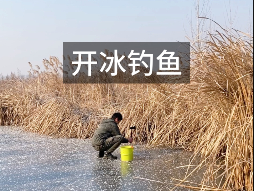 又封上了