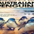 澳大利亚的企鹅  AUSTRALIAN PENGUINS2012