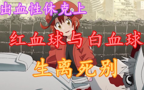 工作细胞 红血球与白血球的生死离别 第17话出血性休克上介绍 指点江叁 哔哩哔哩 つロ干杯 bilibili