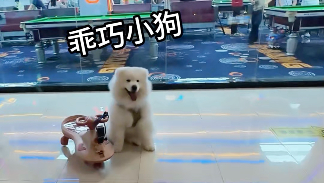 去狗咖玩老板说电梯坏了 让我坐扶梯 还说过来比较远给我准备了车