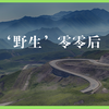 揭秘00后：90后记者的“野生”00后观察