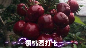 476ef9954130fcab5b8e66e67103289b2681bc3a.jpg@280w_158h_1c_100q.jpg