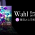 【部分附中日歌词】7.14更新 Roselia 2nd Album「Wahl」