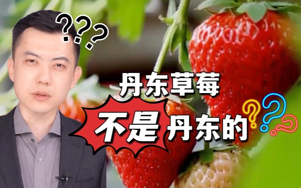 丹东草莓不是丹东的？！