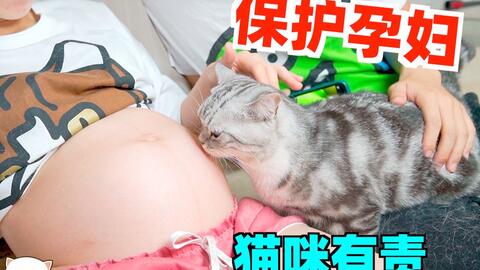 47a0cb74e629d650a92fc537d487028a55fc0edf.jpg@480w_270h_1c