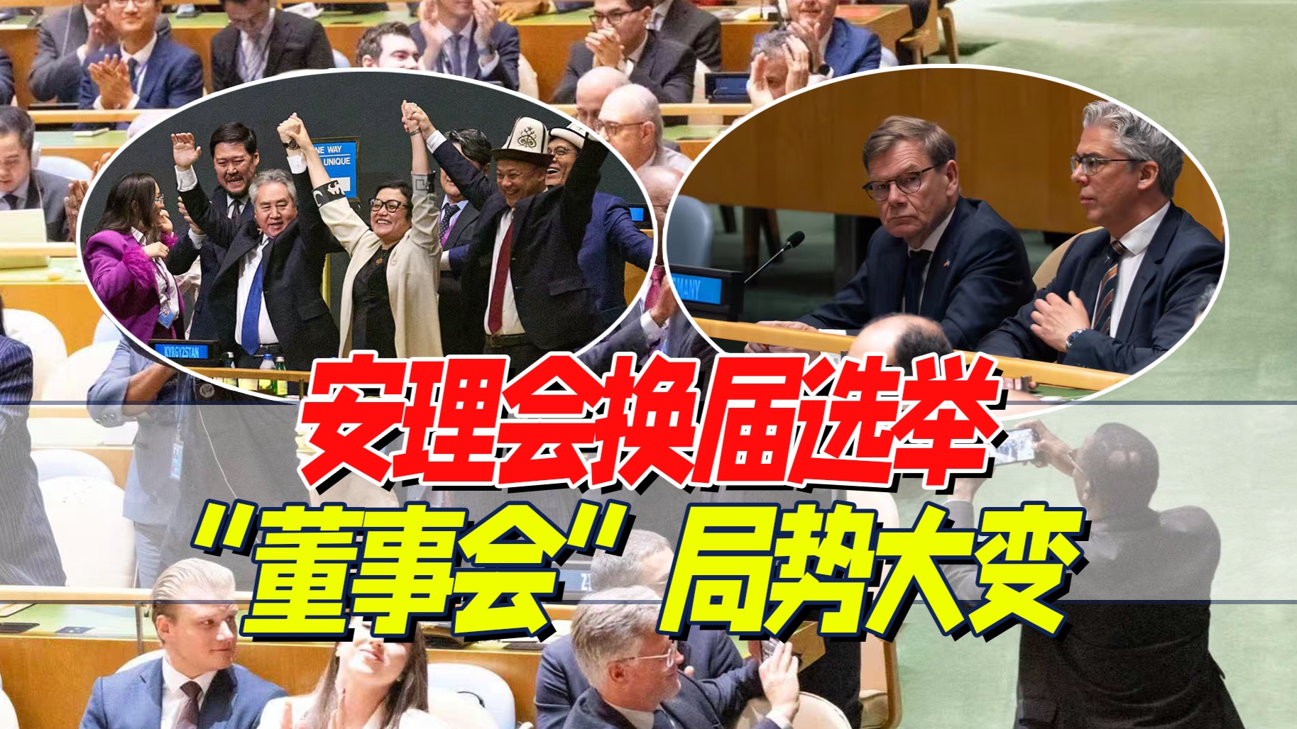 小Q不是导盲犬