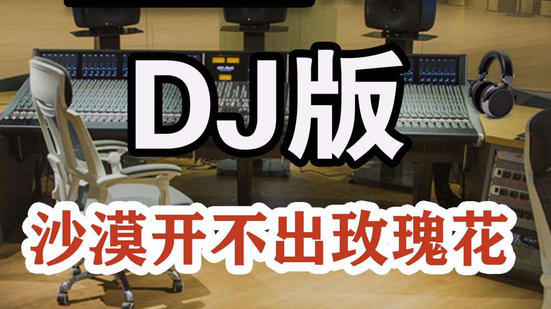 无损HI-FI音乐： 中文DJ热歌榜，《沙漠开不出玫瑰花》DSD完整版817M，百万调音师专业录音棚独家调制