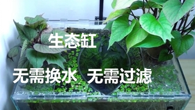 47d30f88775490159a5e25520abcdd2f49ccf71d.jpg@280w_158h_1c_100q.jpg