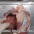 解剖猪心脏（一）——观察心脏的四个腔