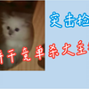 小饼干突击查房？白的肾惨遭线下单杀？！！
