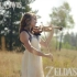 【小提琴】【Taylor Davis】塞尔达传说 Zelda\'s Lullaby