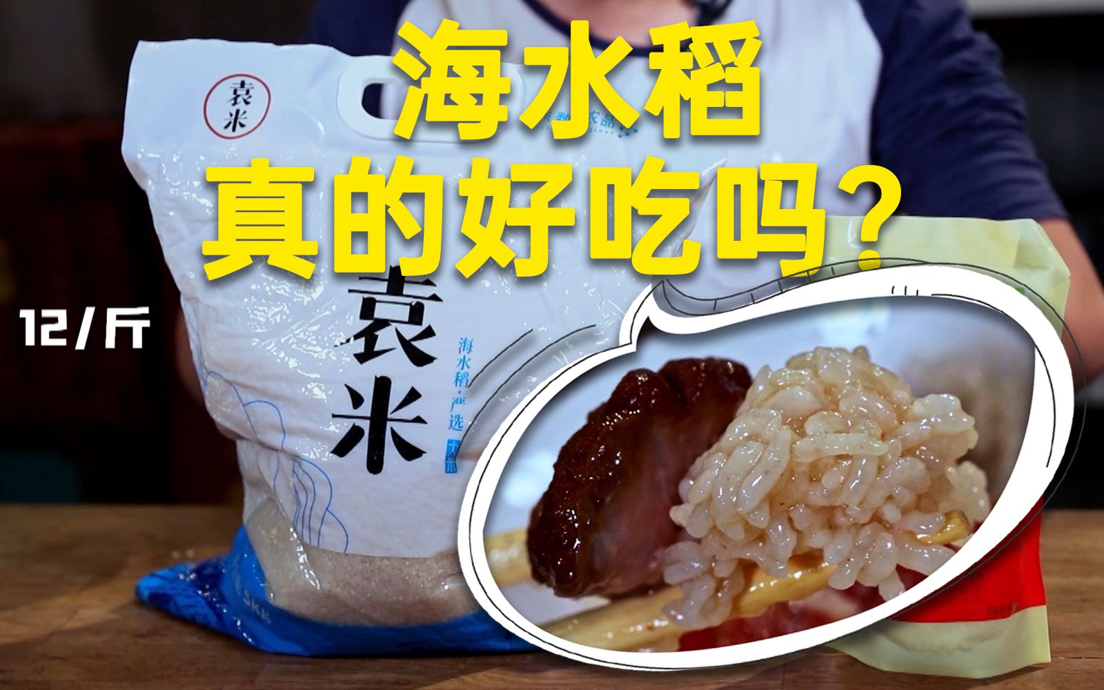 神评论：袁隆平推荐的海水稻，是不是比五常大米还好吃？[一阶段]的第1张示图
