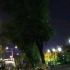 云骑车 安徽省滁州市「滁州体育馆——龙蟠河公园」第一视角骑行