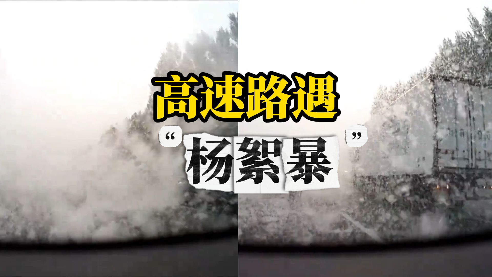 男子高速路遇“杨絮风暴”，能见度瞬间降低“这比下雾还热闹呢”