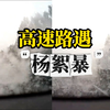 男子高速路遇“杨絮风暴”，能见度瞬间降低“这比下雾还热闹呢