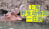 上海野生动物园游玩vlog——周末师兄带我们去的