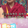 菩提花开 爱意永存