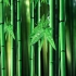 竹子 竹林LED大屏背景素材视频免费下载