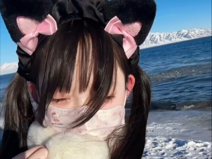 [Softie Cat Cat has become an adult] My latest work, come and have a look!