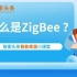智家网小课堂：一分钟告诉你什么是ZigBee！