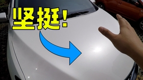 48b4337d406db6a89581a7e258b032fce2121f94.jpg@280w_158h_1c_100q.jpg