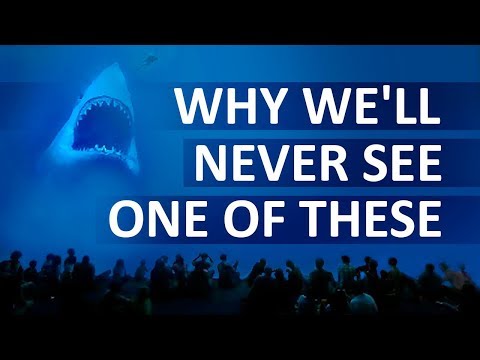 为什么没有水族馆有大白鲨