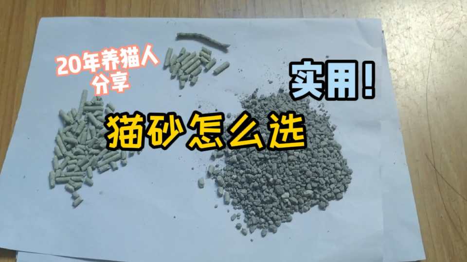 膨润土猫砂和豆腐猫砂有啥不同？