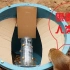 小哥发明“滚落桶”捕鼠陷阱，不担心家里有老鼠了，真的是佩服！