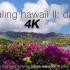 【自然/治愈】夏威夷瓦胡岛的自然风光（1小时自然放松）