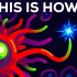 【Kurzgesagt】第165期：科学增强你免疫系统的最佳方法！The Best Way to Boost Your 