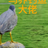 不会吧，你居然钓不过一只鸟