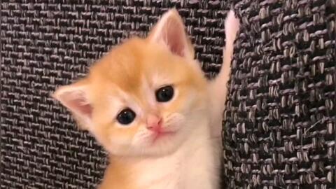 49606c254026964057cd1fd0416493681fe4a053.jpg@480w_270h_1c