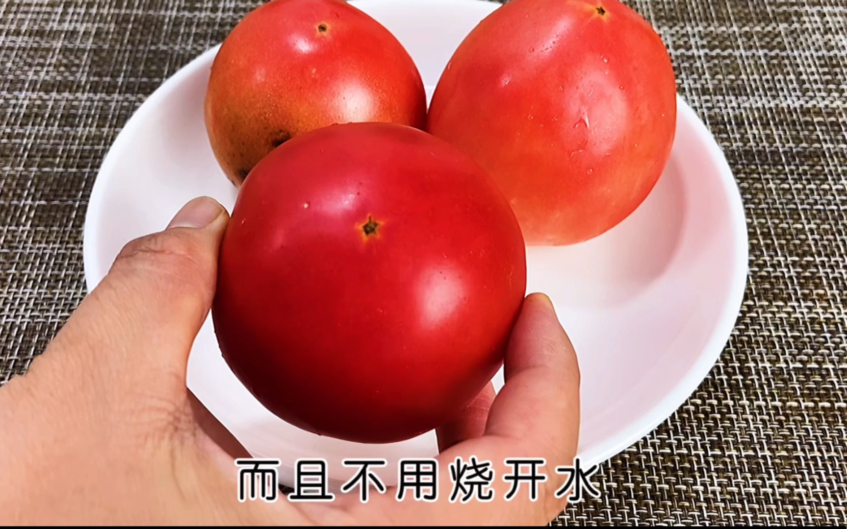 番茄黑斑病-蔬菜病虫害诊治-图片
