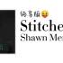 【英文歌纯享版】Stitches - Shawn Mendes