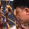 这样做的腊肉简单易学，色泽红亮 腊味十足 厨房小白在家也会做