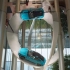 小米汽车旗舰店开幕，两辆小米su7海湾蓝悬浮在空中做为背景，这也太炫酷了！